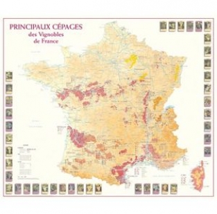landkaart Principaux cepages des vignobles de France, poster